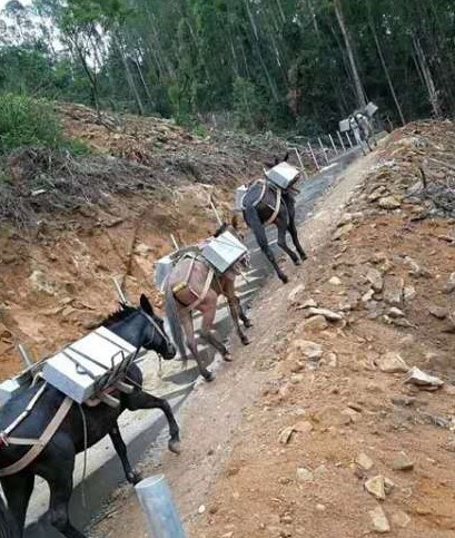 金华马队运输队